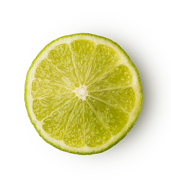 Refresher - US 2085