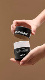 No Drought - US 8178