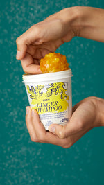 Ginger - US 4110