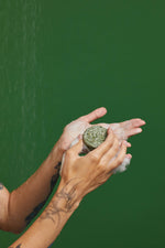 Squeaky Green - US 1728