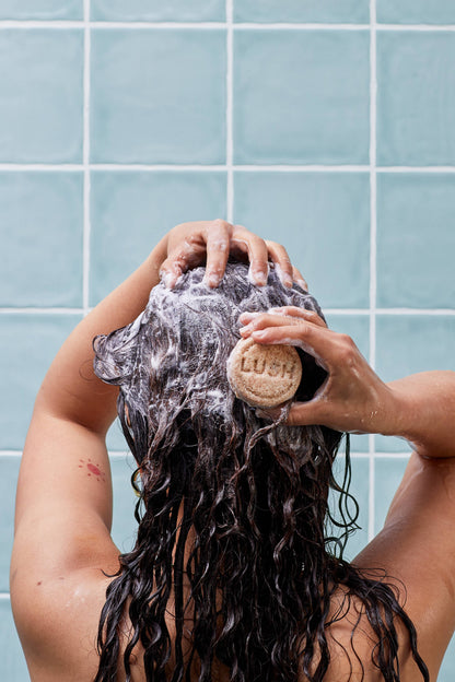 Honey I Washed My Hair - US 6244