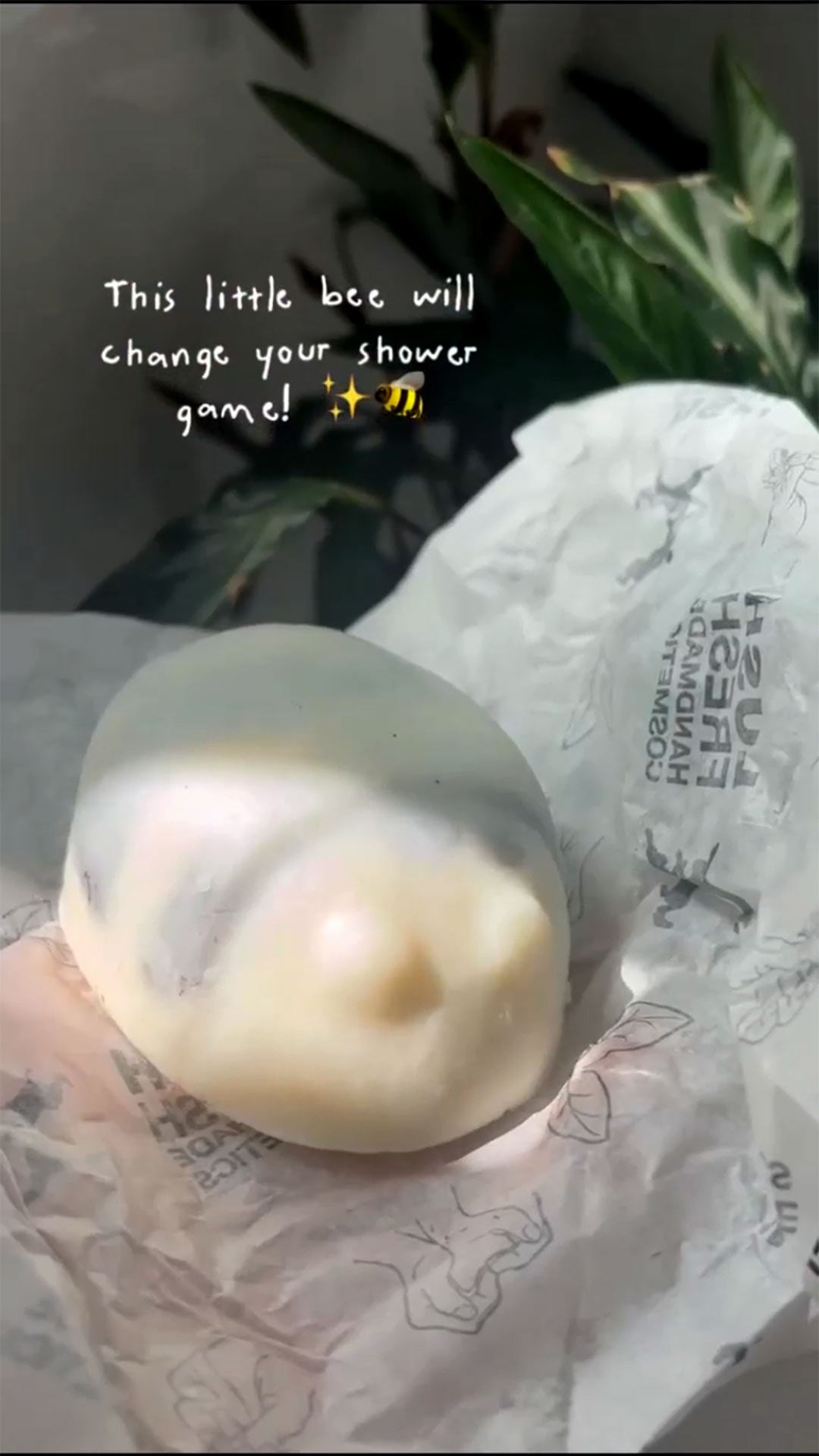 Scrubee - US 2039