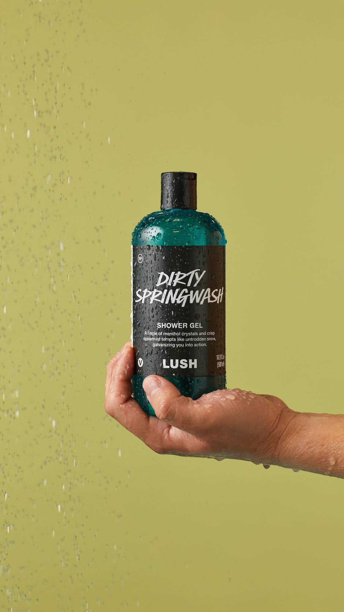 Dirty Springwash - US 8681