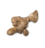 Ginger - US 4200