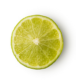Refresher - US 2085