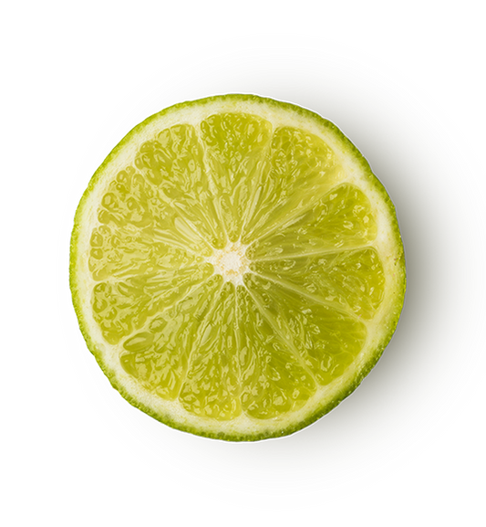 Refresher - US 2085